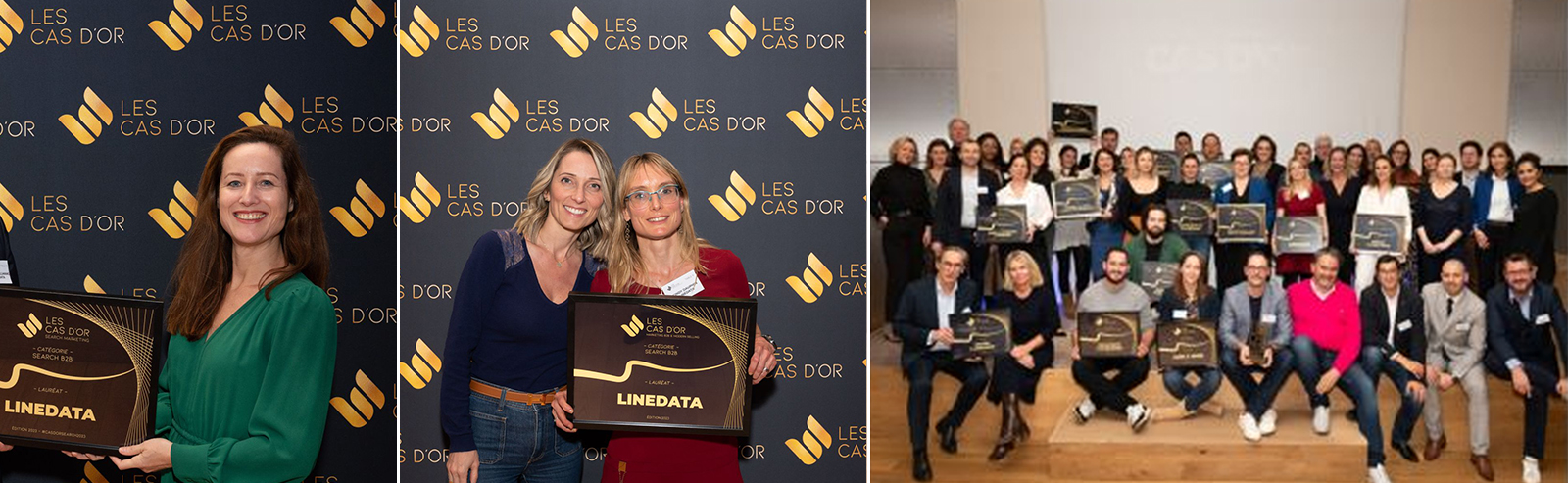 Three awards at the Digital Gold Cases for its SEO