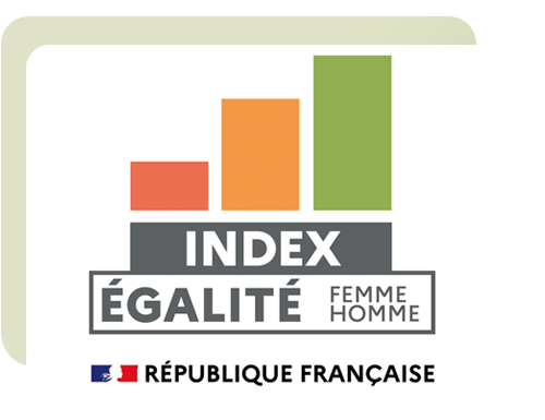 Logo Index Egapro