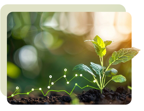 Visuel Carbon Footprint