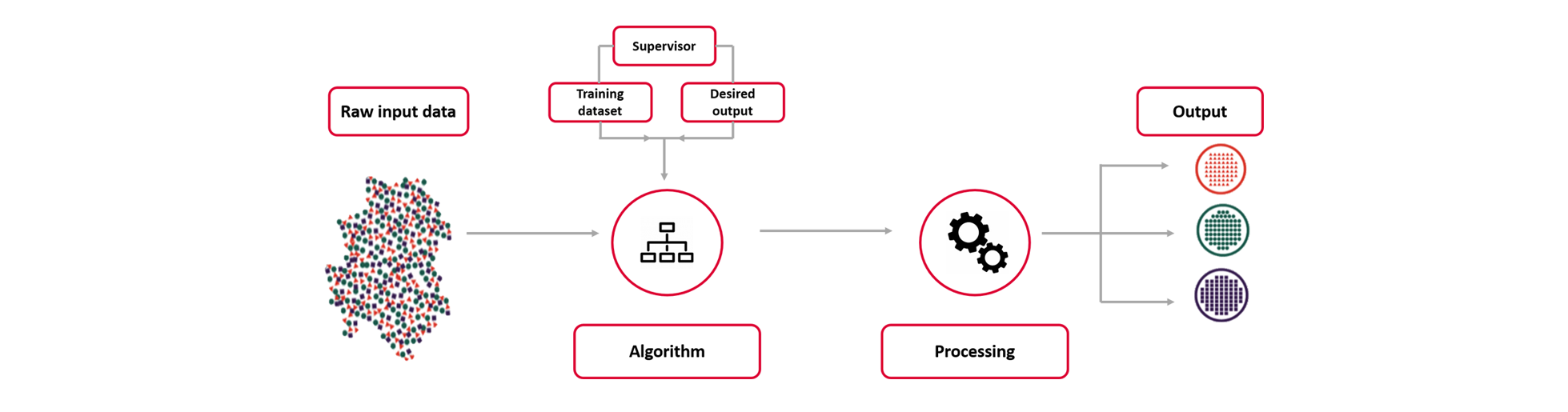 schema