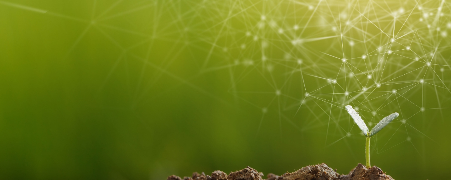 Full width - CSR Finance