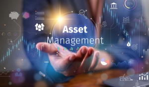 Image-Hand holding Asset Management