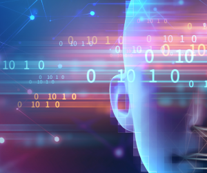 Linedata Data Management Service