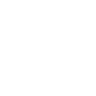 AI brain