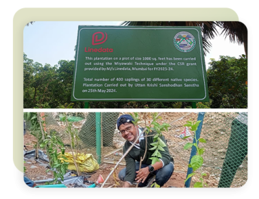 Tree-planting 2.png