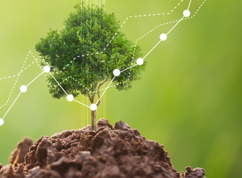 Finance Tree