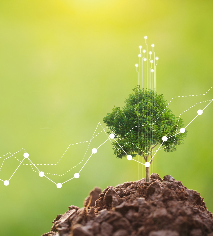 tree finance
